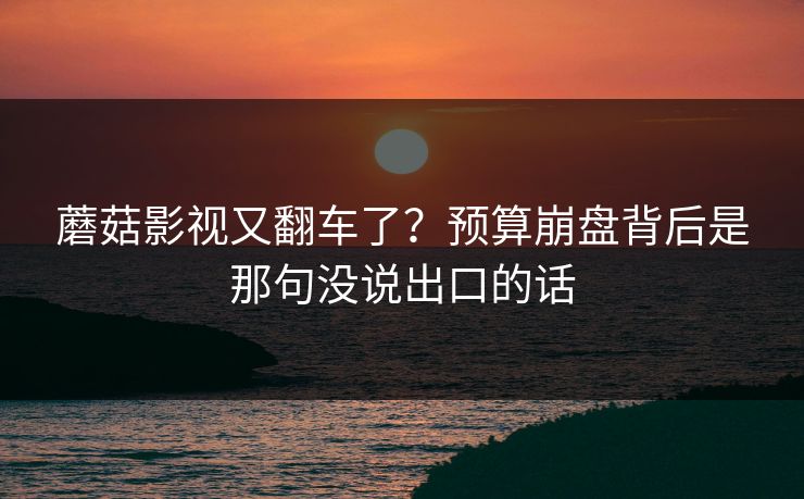 蘑菇影视又翻车了？预算崩盘背后是那句没说出口的话