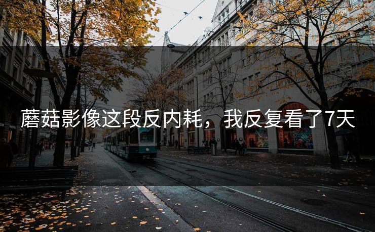 蘑菇影像这段反内耗，我反复看了7天