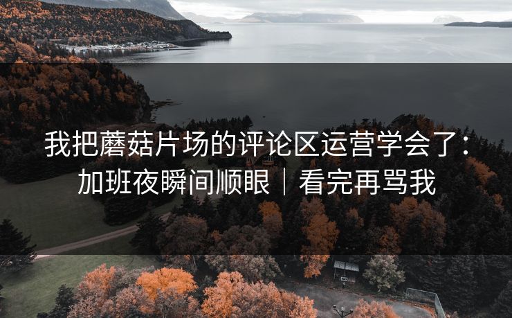 我把蘑菇片场的评论区运营学会了：加班夜瞬间顺眼｜看完再骂我