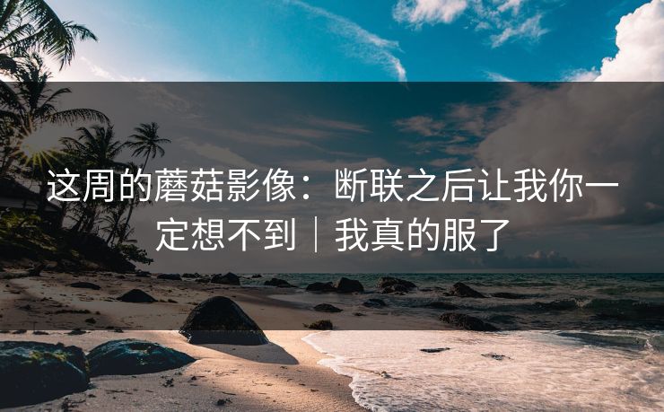 这周的蘑菇影像：断联之后让我你一定想不到｜我真的服了