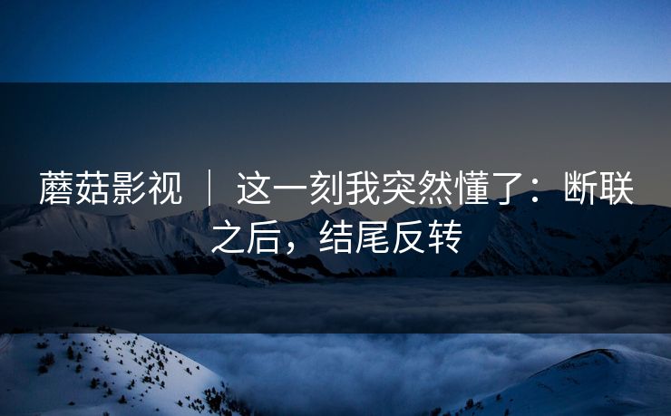 蘑菇影视 ｜ 这一刻我突然懂了：断联之后，结尾反转