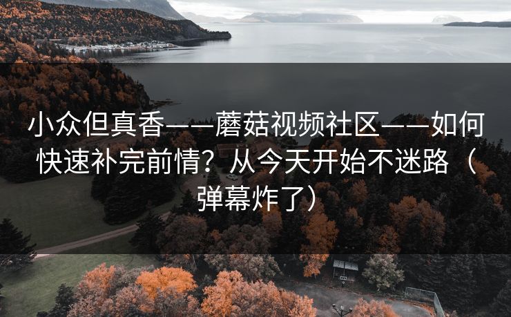 小众但真香——蘑菇视频社区——如何快速补完前情？从今天开始不迷路（弹幕炸了）