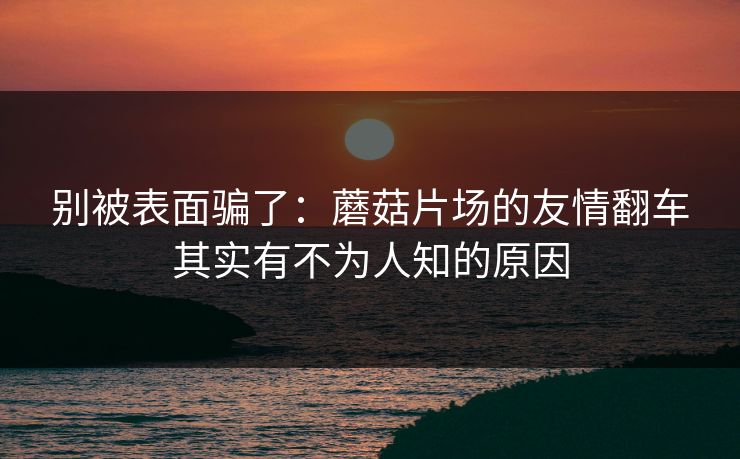 别被表面骗了：蘑菇片场的友情翻车其实有不为人知的原因